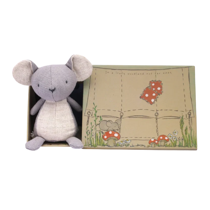 Squirrel Soft Toy in Illustrated Keepsake Box