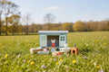 Wooden Wildlife Camping Imaginative Play Toy Age 3 Plus